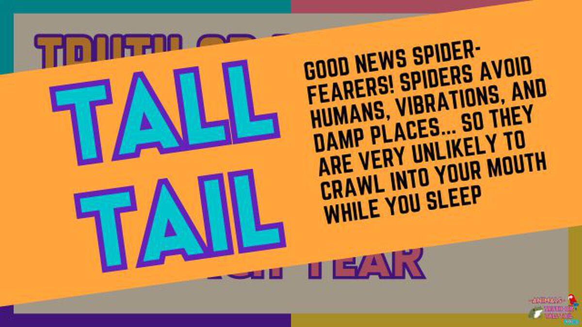Animals: Truth or Tall Tail - Vol. 3 image number null